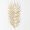 Sullivan's Fern Spray, Cream Faux Floral Stem for Crafting, Weddings, Home and Holiday Decoration, 34 Inch
